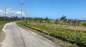 Gambar 5 Tanah Luasan Kecil Dekat Pantai Dengan View Sawah Dan Laut Di Bali