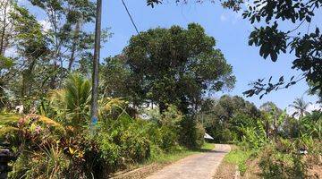 Gambar 1 Jual Tanah Kebun Los Sungai Di Tabanan Bali.