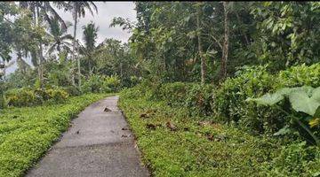 Gambar 1 Tanah Luas Kecil Contour Datar View Sawah Di Tabanan Bali