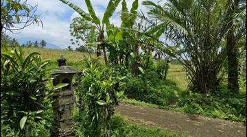 Gambar 4 Tanah Kebun Luas Kecil View Sawah Murah Di Tabanan Bali