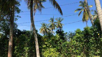 Gambar 4 Jual Tanah Luas Kecil Dekat Pantai Surving Balian Tabanan Bali.