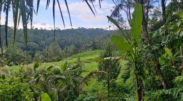 Gambar 1 Tanah Kebun View Sawah Dan Lembah Di Tabanan Bali.