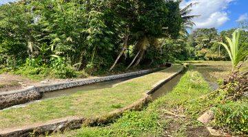 Gambar 2 Tanah Kavling Lokasi Strategis Semana Ubud Gianyar Bali