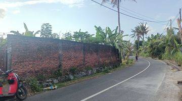 Gambar 1 Dijual Tanah Bali Murah + Kolam + Pinggir Jalan + View Sawah