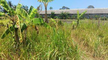 Gambar 5 Dijual Murah Tanah View Sawah Bali 