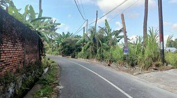 Gambar 4 Dijual Lahan Bali Murah Global Pinggir Jalan + View Sawah