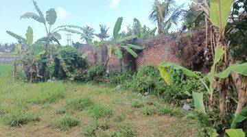 Gambar 3 Dijual Murah Tanah Bali View Sawah