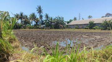 Gambar 5 Dijual Murah Tanah Sawah Bali 