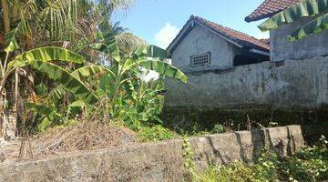 Gambar 5 Dijual Tanah Murah Bali