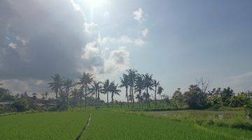 Gambar 2 Dijual Murah Tanah Bali View Sawah