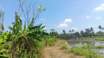 Gambar 1 Dijual Murah Tanah View Sawah Bali 