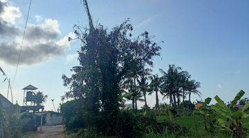 Gambar 4 Dijual Murah Tanah Bali View Sawah