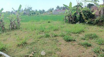 Gambar 5 Dijual Murah Tanah Bali View Sawah