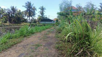 Gambar 2 Dijual Murah Tanah Sawah Bali 