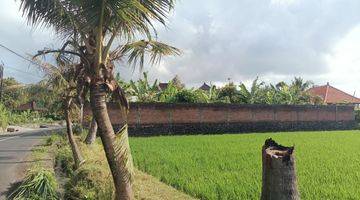 Gambar 1 Dijual Lahan Bali Murah Global Pinggir Jalan + View Sawah