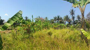 Gambar 2 Dijual Murah Tanah View Sawah Bali 