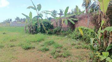 Gambar 3 Dijual Lahan Bali Murah Global Pinggir Jalan + View Sawah