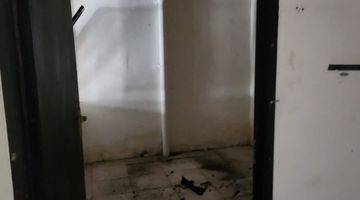 Gambar 3 Rumah Murah 2 Br Di Bsd Griya Loka, Tangerang Selatan