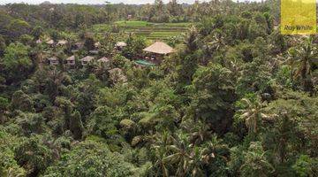 Gambar 2 12,619 Sq M Of Freehold Land With Stunning River And Valley Views Located 7 Minutes From Ubud Palace