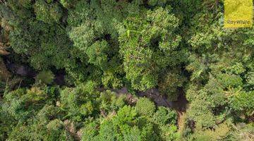 Gambar 1 12,619 Sq M Of Freehold Land With Stunning River And Valley Views Located 7 Minutes From Ubud Palace