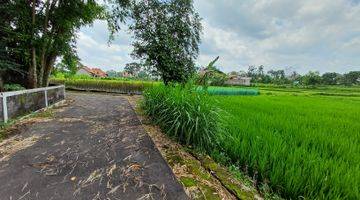 Gambar 4 Tanah Murah Purwomartani, Sleman, View Sawah Dan Gunung