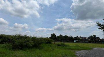 Gambar 5 Utara Jogja Expo Center, View Sawah Tengah Kota