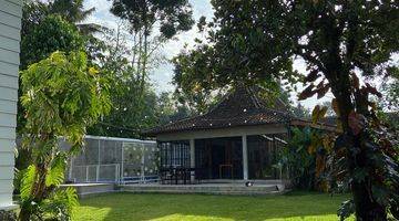 Gambar 1 Dijual Villa Cantik di Jogja, View Sawah Private Pooll