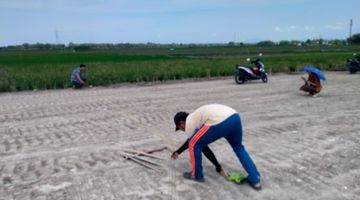 Gambar 4 Tanah Madiun Kota Manguharjo Potongan Harga 30 Juta