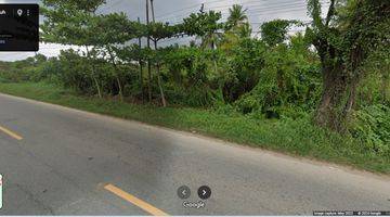 Gambar 3 Dijual Tanah Tepi Jln Pontianak Sei Pinyuh, Peniti Luar, Jongkat , Seluas 42Ha, SHM