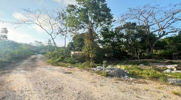 Gambar 4 Rare Small Plot Land For Lease Prime Area Labuan Sait Pecatu