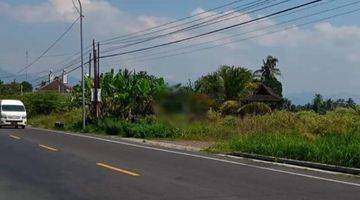 Gambar 1 Tanah Kosong Pinggir Jalan Raya, Strategis untuk Usaha, Dekat Borobudur Jalan Raya Magelang Yogyakarta