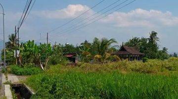 Gambar 4 Tanah Kosong Pinggir Jalan Raya, Strategis untuk Usaha, Dekat Borobudur Jalan Raya Magelang Yogyakarta