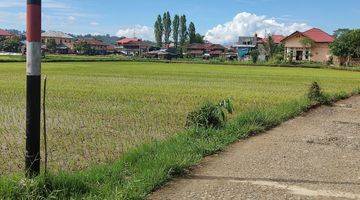 Gambar 1 Dijual Sawah Lokasi Strategis Daerah Mentirotiku Tana Toraja Utara