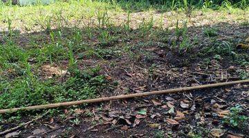 Gambar 1 TANAH KEBUN SUBUR HARGA BAIK DI GONDANGLEGI KABUPATEN MALANG.