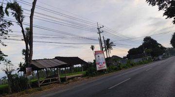 Gambar 3 TANAH SUBUR PINGGIR JALAN RAYA HARGA ISTIMEWA DI KOTA BONDOWOSO.