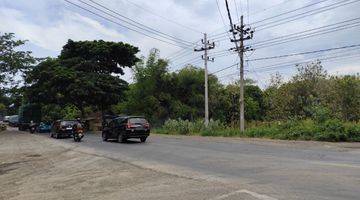 Gambar 2 TANAH KEBUN PINGGIR JALAN RAYA HARGA BAIK DI PAITON PROBOLINGGO.