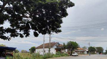 Gambar 1 TANAH KEBUN PINGGIR JALAN RAYA HARGA BAIK DI PAITON PROBOLINGGO.