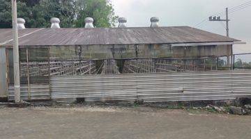 Gambar 3 Greenhouse Besar Dan Luas Potensial Area Wisata Coban Rondo Malang