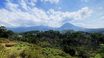 Gambar 4 Tanah Lahan Kuning Potensial Dekat Area Kampus Dan Wisata Batu