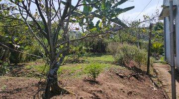 Gambar 3 Rumah Plus Kebun Jeruk Segar Sejuk Untuk Healing Di Kota Batu