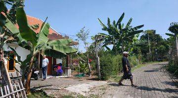 Gambar 4 Rumah Plus Kebun Jeruk Segar Sejuk Untuk Healing Di Kota Batu