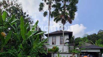 Gambar 2 Disewakan Villa Mewah Tabanan Bali, Langka 