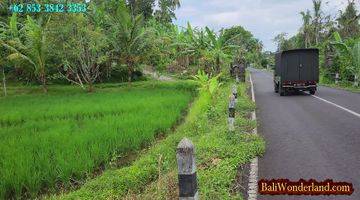 Gambar 4 33.7 Are Lahan Kering Bekas Sawah Pinggir Jalan di Penebel