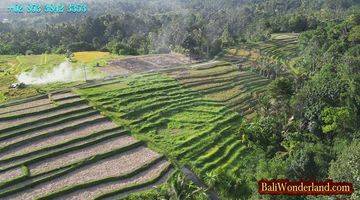 Gambar 5 Lokasi Penebel Tabanan 3,100 M2 Pinggir Jalan Beton