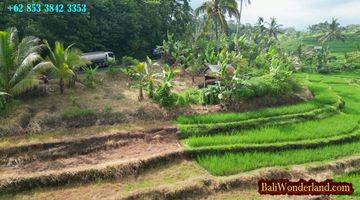 Gambar 5 33.7 Are Lahan Kering Bekas Sawah Pinggir Jalan di Penebel