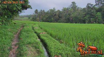 Gambar 3 Strategis 25.5 Are Sawah Gunung, Sungai Dan Hutan