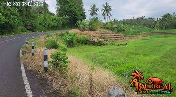 Gambar 2 33.7 Are Lahan Kering Bekas Sawah Pinggir Jalan di Penebel