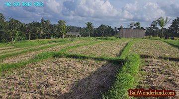 Gambar 3 Lokasi Penebel Tabanan 3,100 M2 Pinggir Jalan Beton