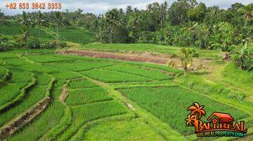 Gambar 3 33.7 Are Lahan Kering Bekas Sawah Pinggir Jalan di Penebel