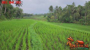 Gambar 4 Strategis 25.5 Are Sawah Gunung, Sungai Dan Hutan